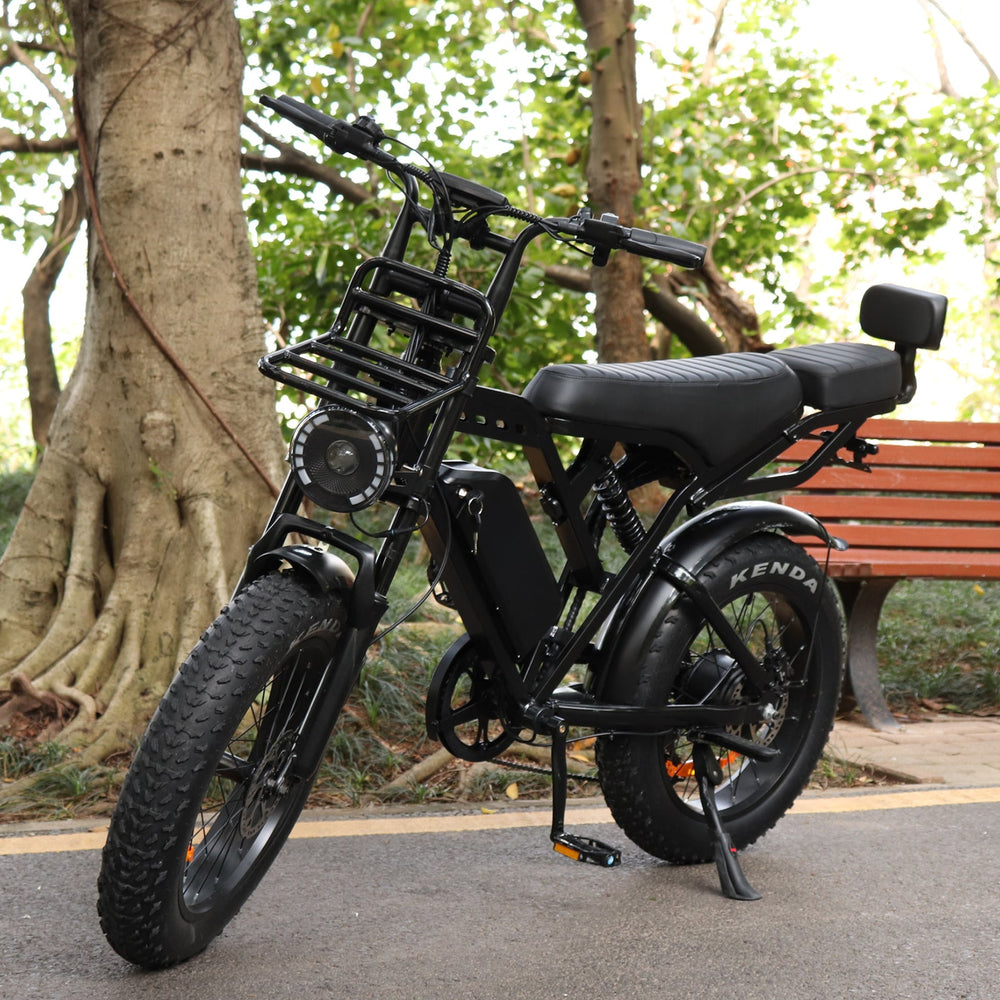 e bike in de winter