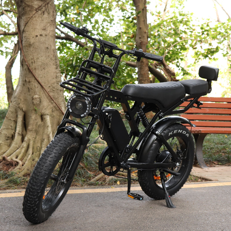 e bike in de winter
