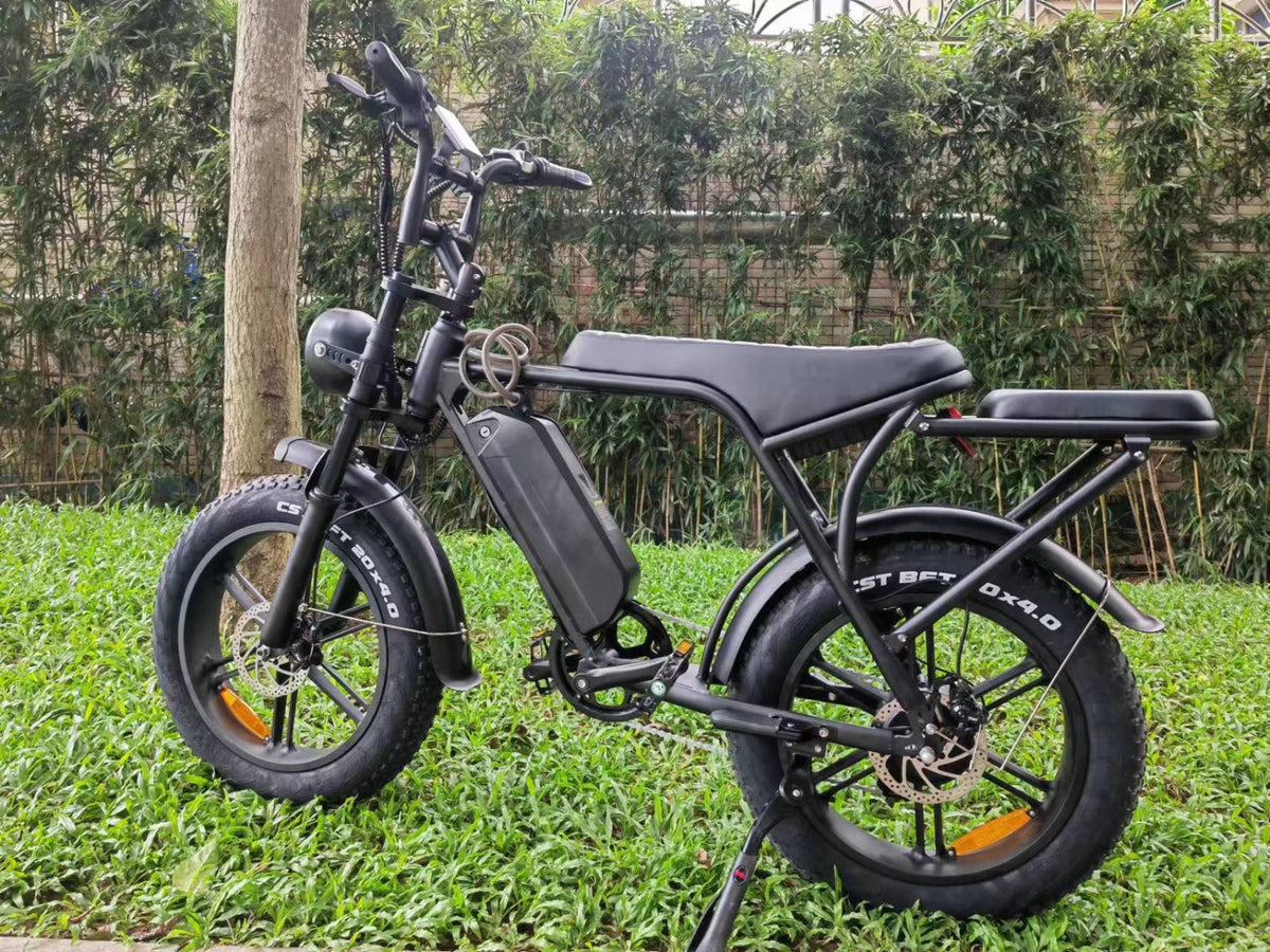 fatbike vs stads vs trekking