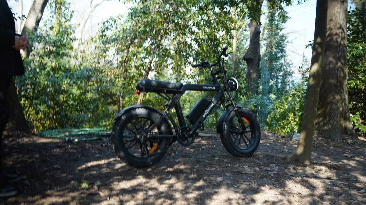 e bike of fatbike?