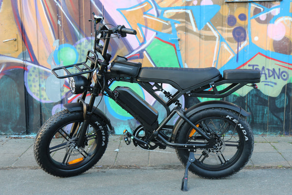 levensduur e bike accu