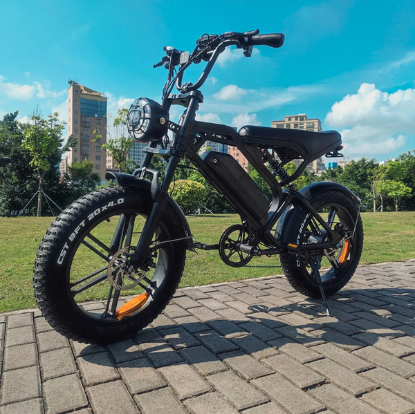 Actieradius e bike