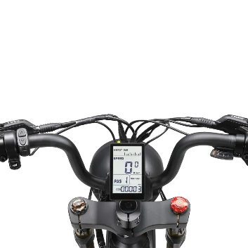 Ape Ryder MD10 Premium