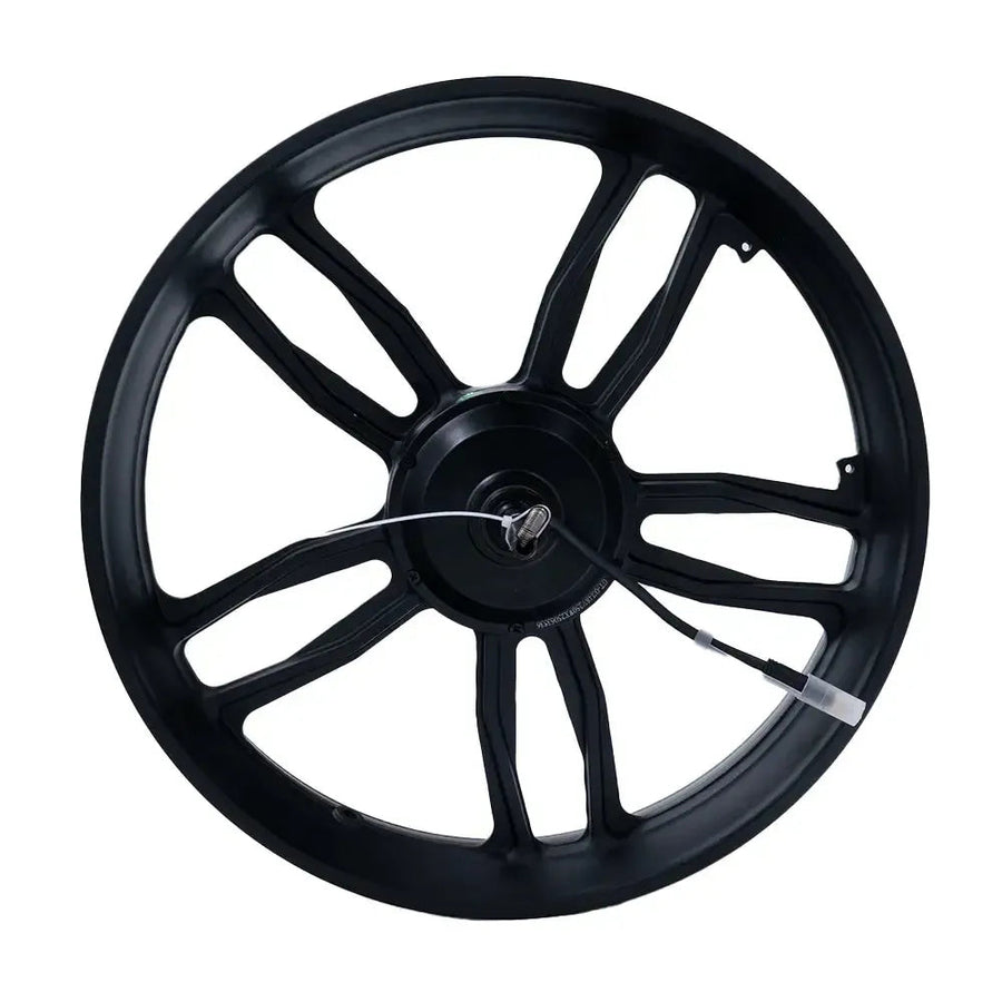 V20/S20 - Motor - 250W