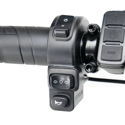 QmWheel S20 Pro